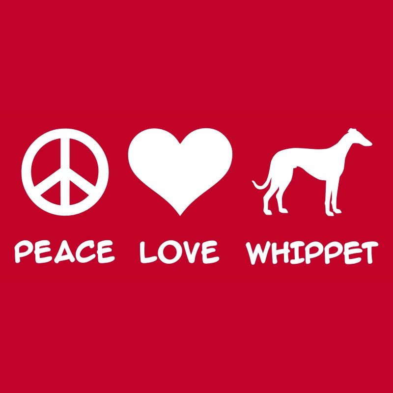 Whippet