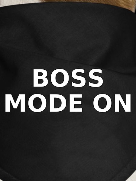 Power Mode On