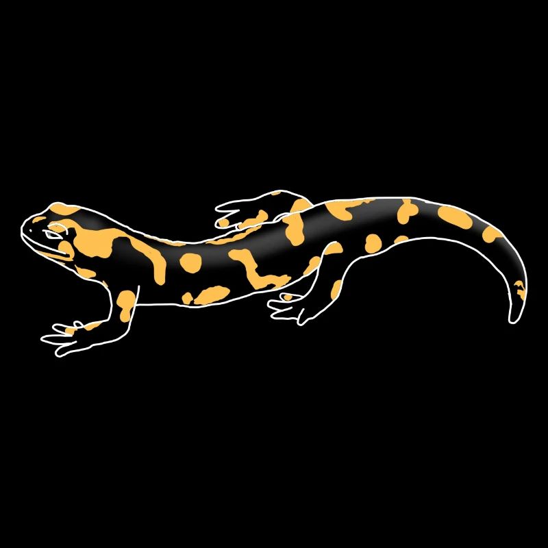Fire Salamander Illustration – Native Amphibians