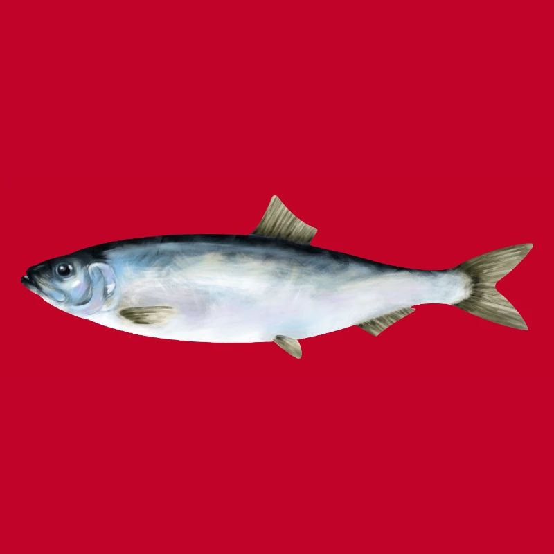 herring