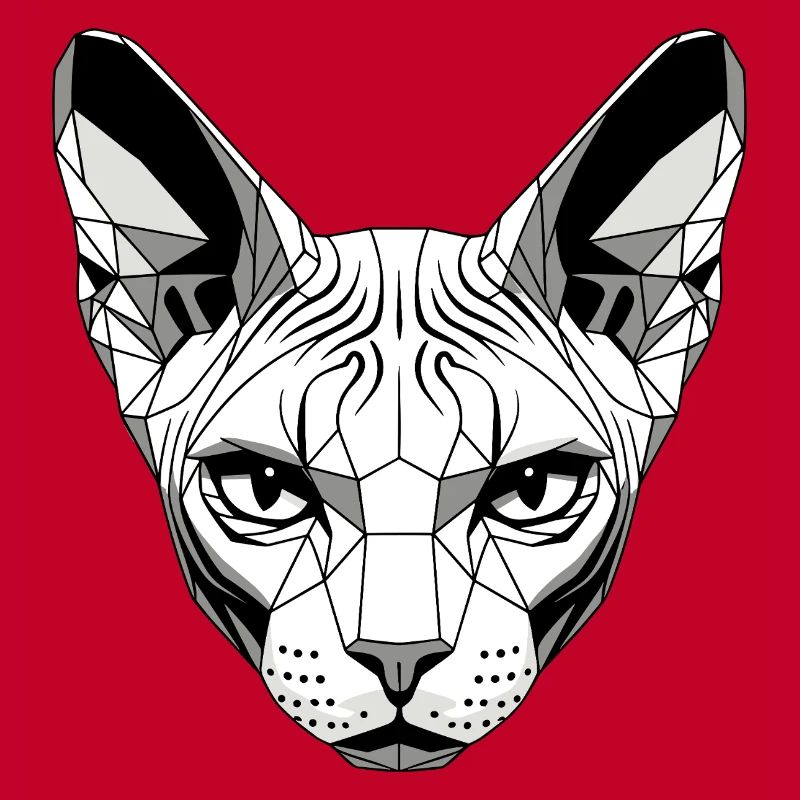 Sphynx Chat Sphynx Chat Chat Canadien Sphinx mignon