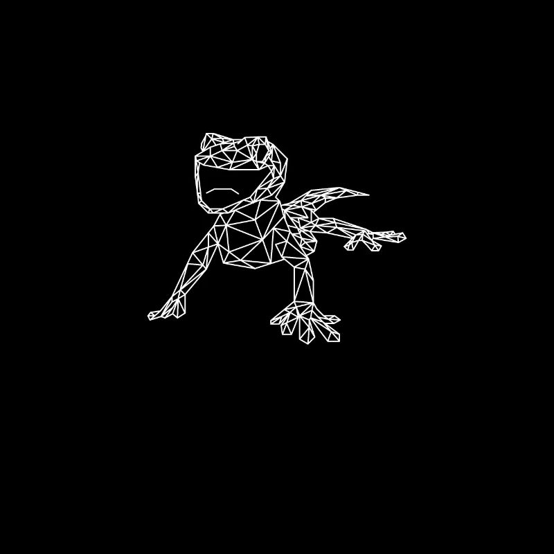 Gecko geometry