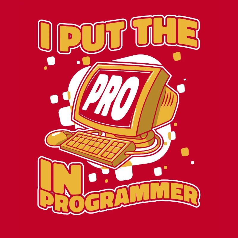 J’ai mis le pro dans Programmeur Developer Coder