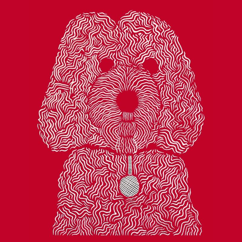 Cockapoo