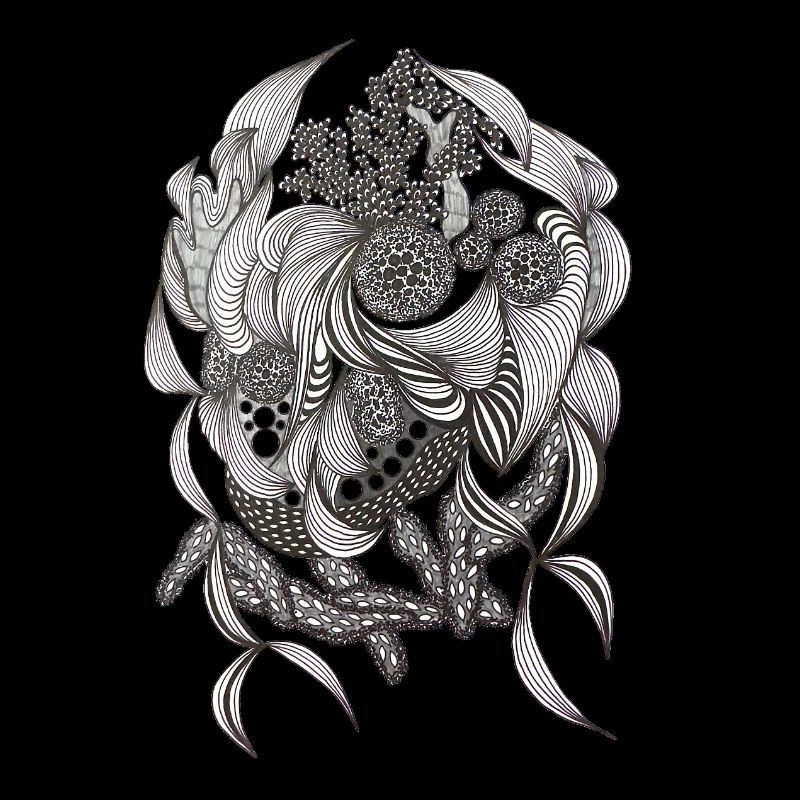 Black and White Flora Pattern