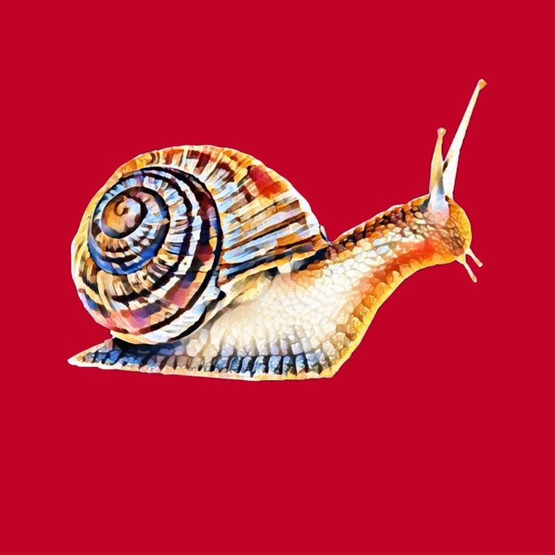 slug