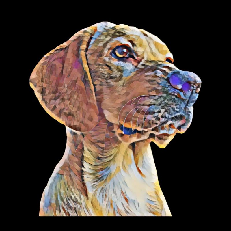 Labrador