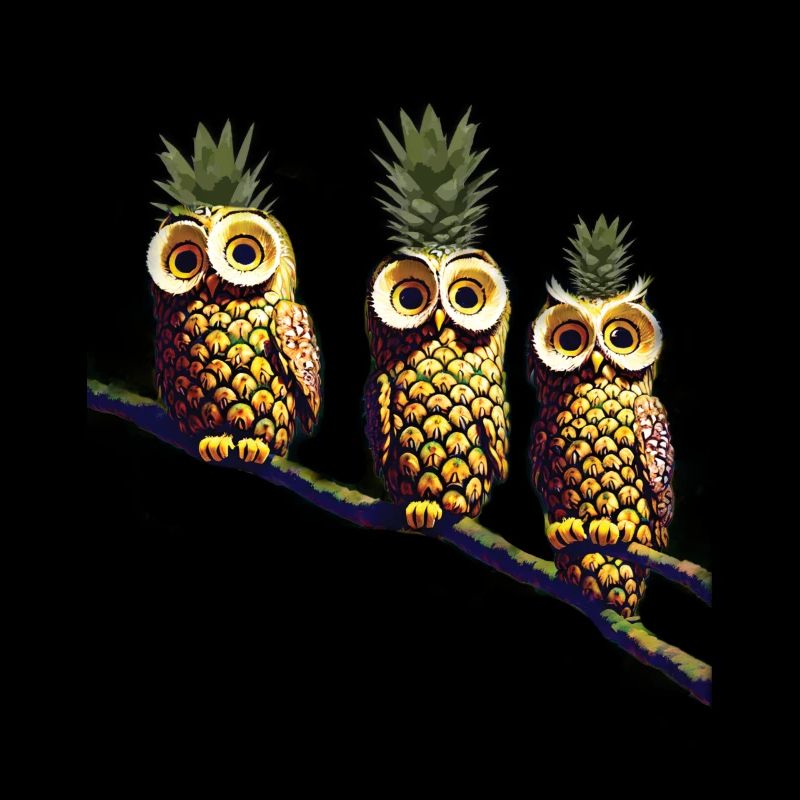 Ananas Eulen