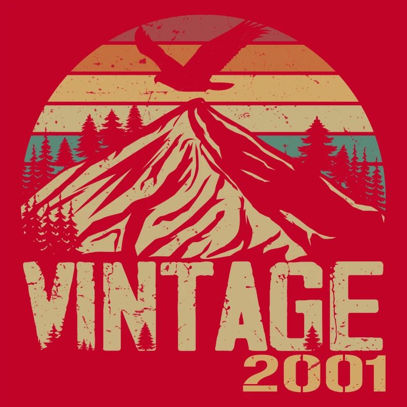 Vintage 2001 Cadeau Anniversaire 2001 Retro 2001
