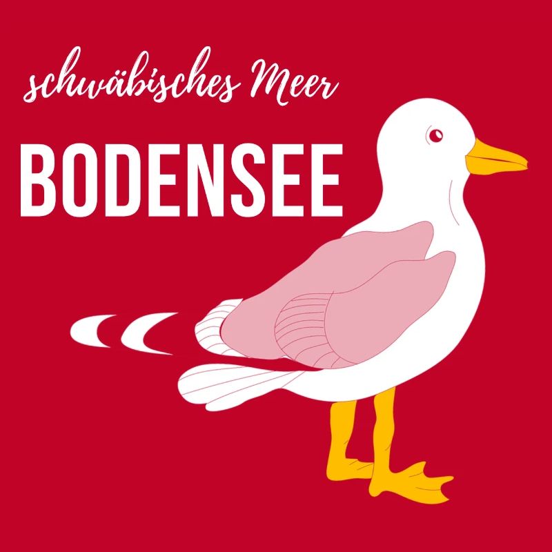 Bodensee Möwe