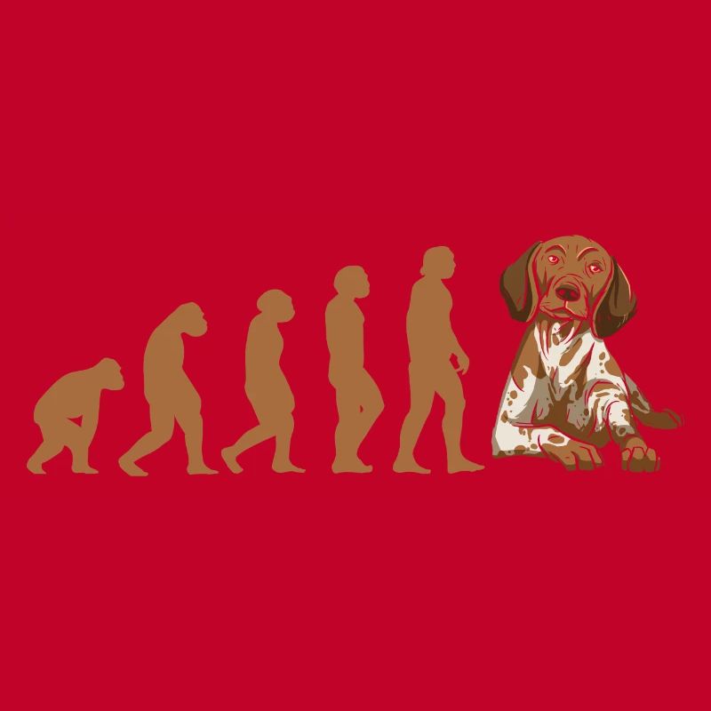 Evolution German Shorthaired Pointer