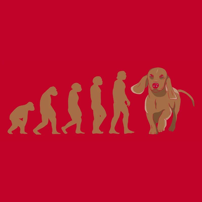 Teckel d’évolution