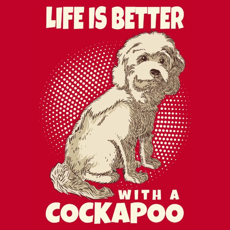 Cockapoo