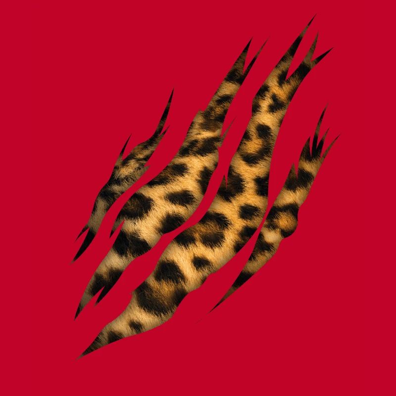 Claw Leopard Fur Pattern