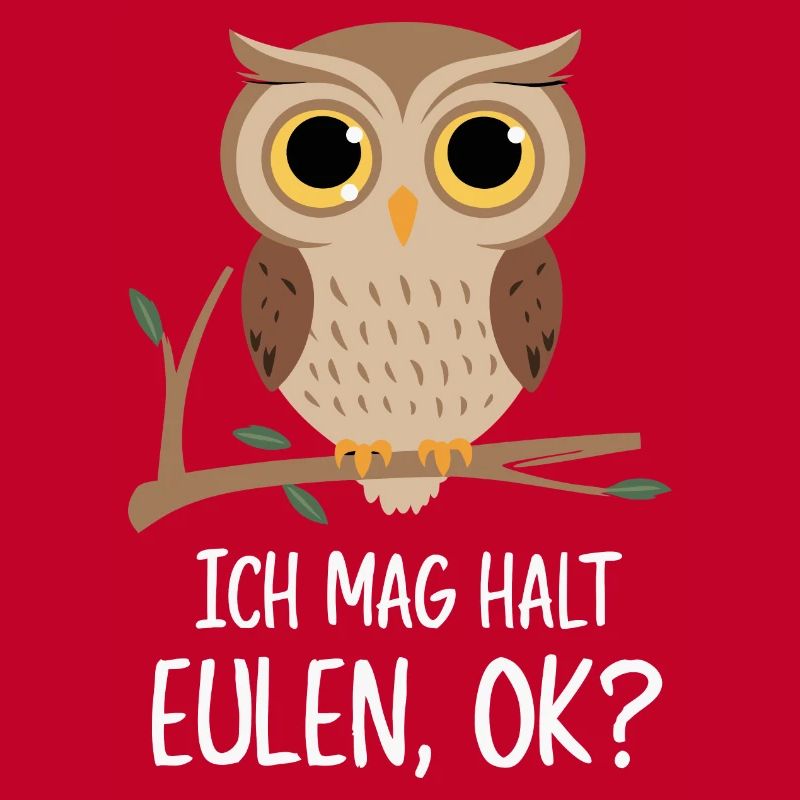 Nachteule Eule Eulen Vogel