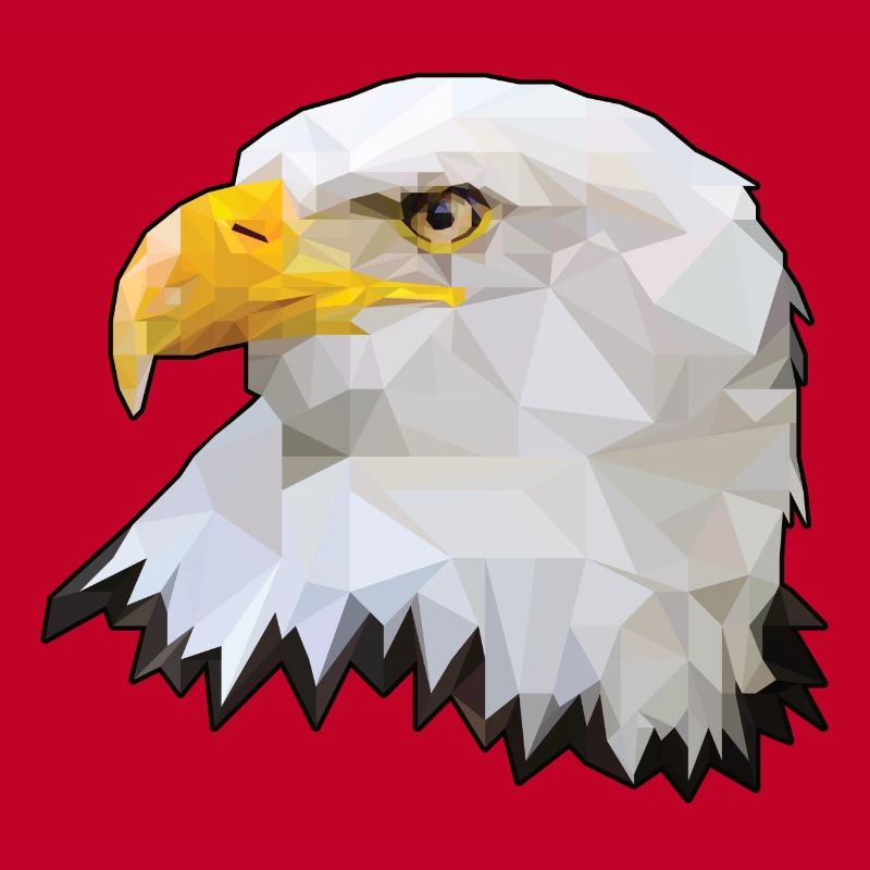 Bald eagle polygon eagle raptor polygon