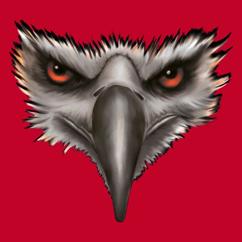Eagle Eagle Head Gift
