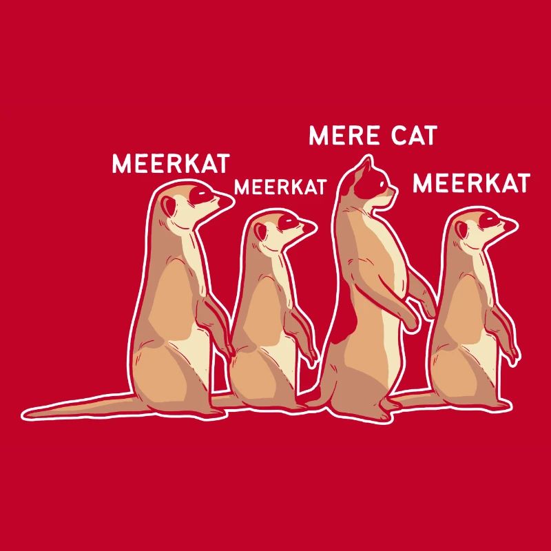 Erdmännchen