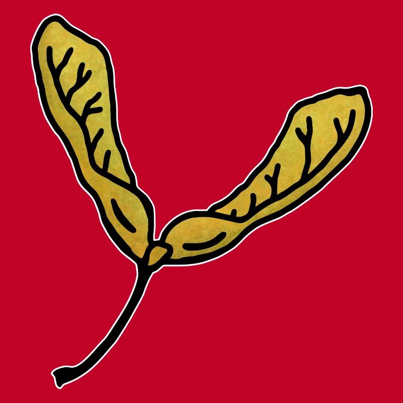 Maple leaf propeller fruit maple tree wings