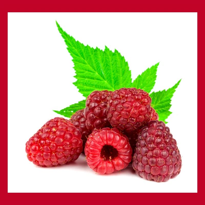 Himbeere. raspberry