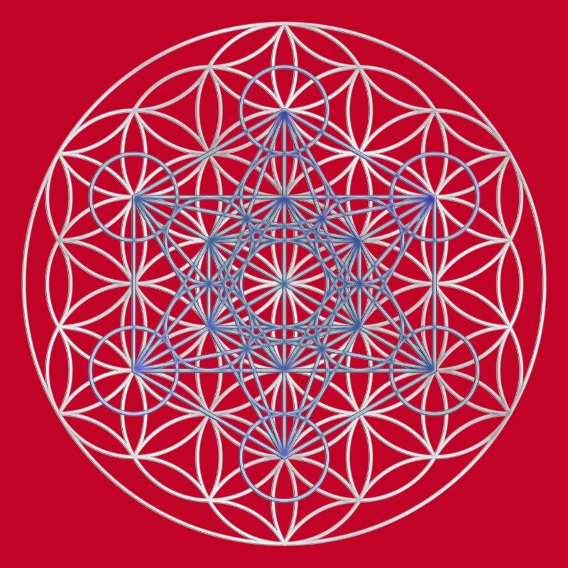 Le cube de Metatron - Fleur de la vie