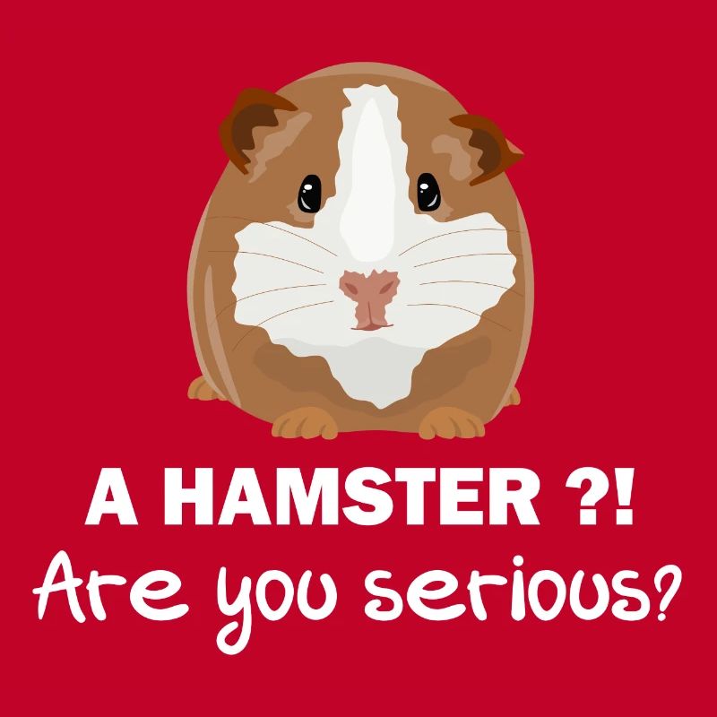 Pas de hamster - cadeau de cochon d'Inde