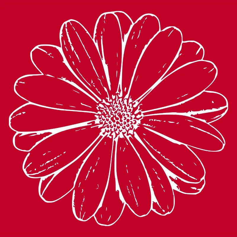 Fleur Blanche Fleurs Blanches Fleurs Blanches Fleurs Blanches