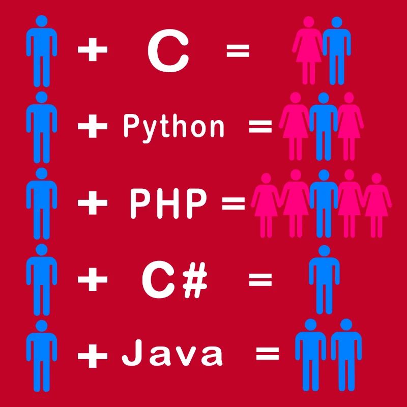 Programmierer