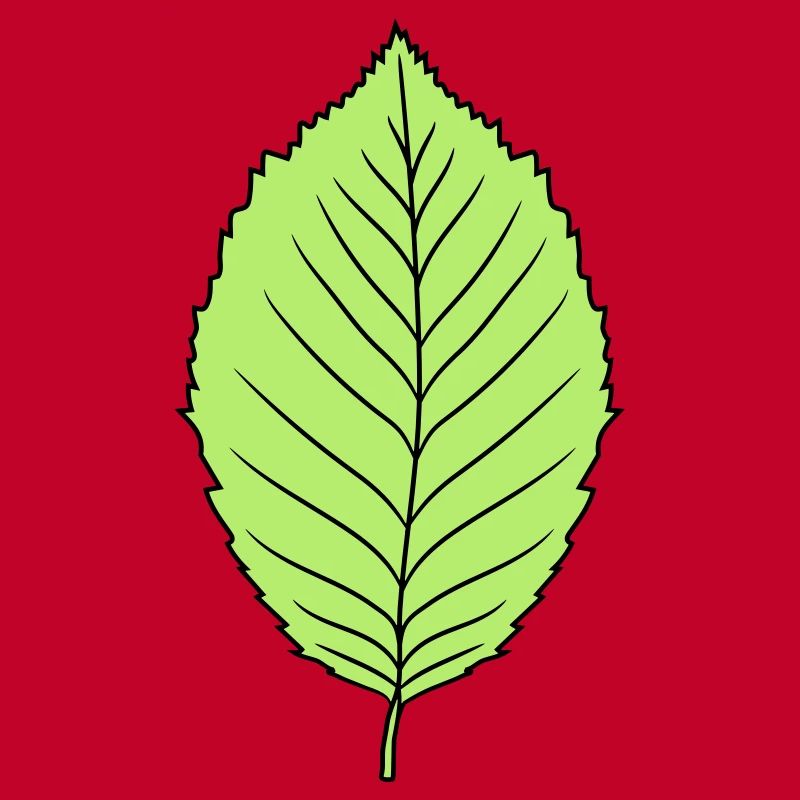 beech leaf tree plant shape clip art design forest