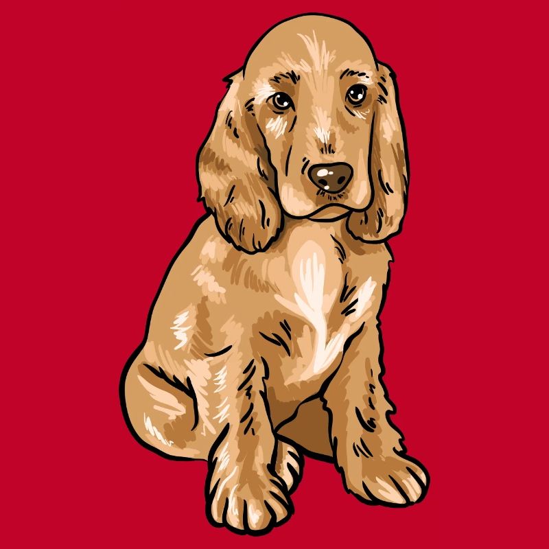 Cocker Spaniel