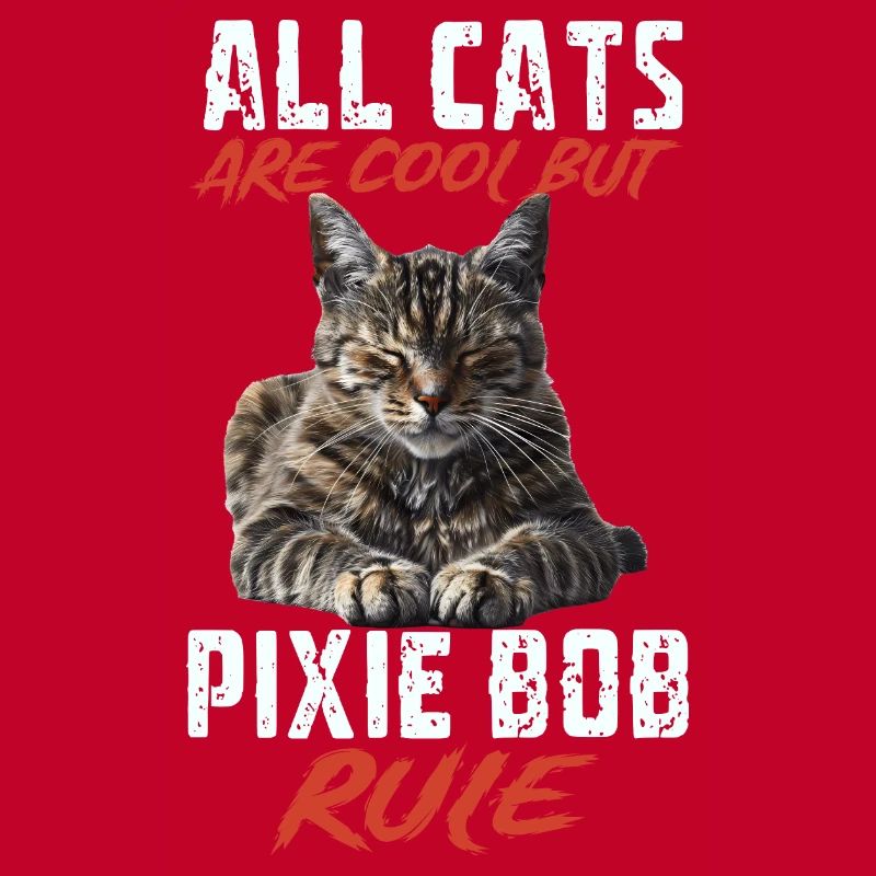 Pixie bob