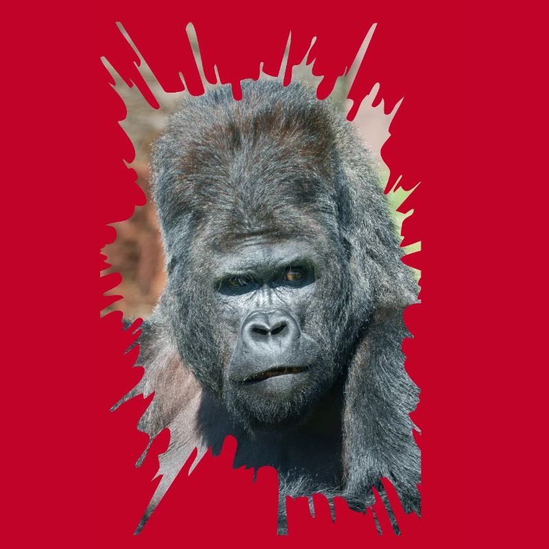 Auffällige Pose von Silverback Gorilla Dishi