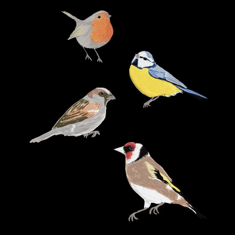 Oiseaux de jardin