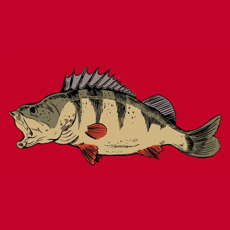 Ritters de pêche à la perche Pêcheurs prédateurs de perches