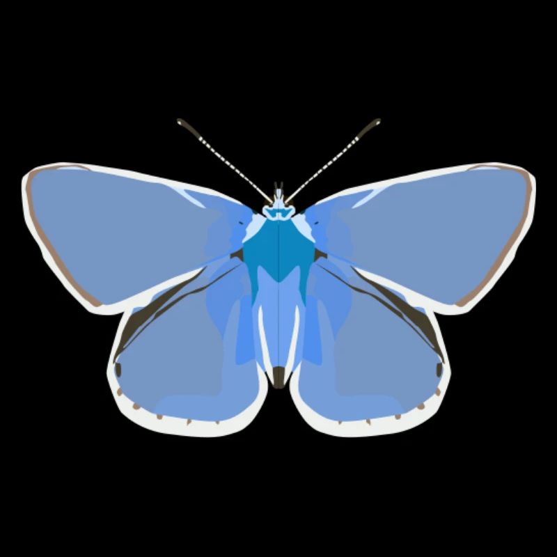 Butterflies: The common blue