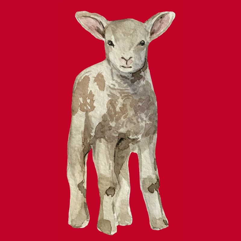 Mouton bébé