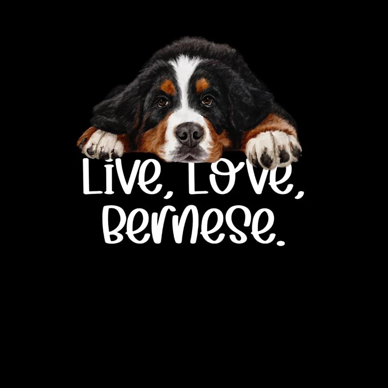 Bouvier bernois