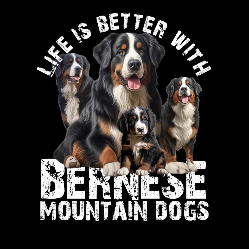Bouvier bernois