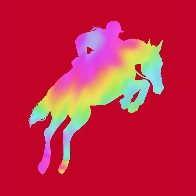 Springreiten Springpferd