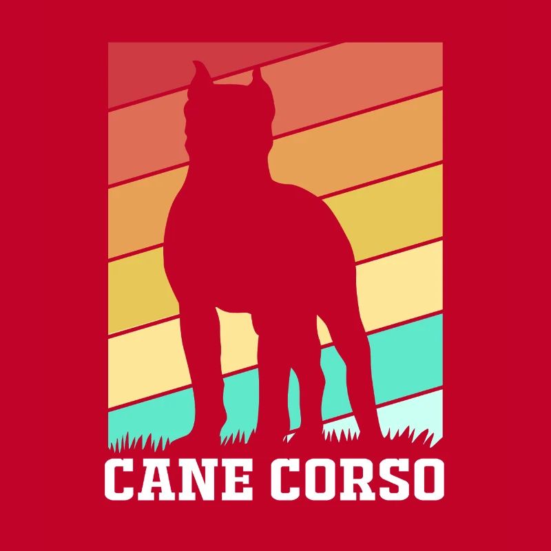 Cane Corso