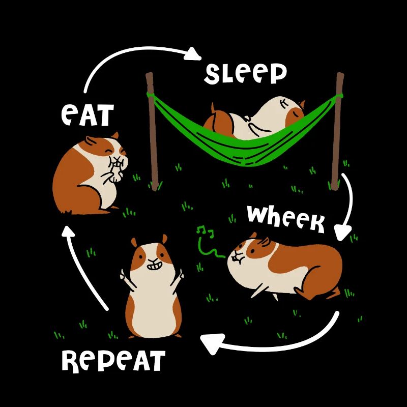 Guinea pig sweet piglet circulation gift