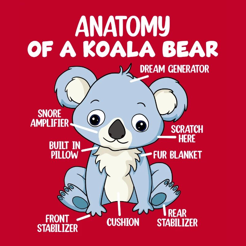 Anatomie eines Koala-Bären