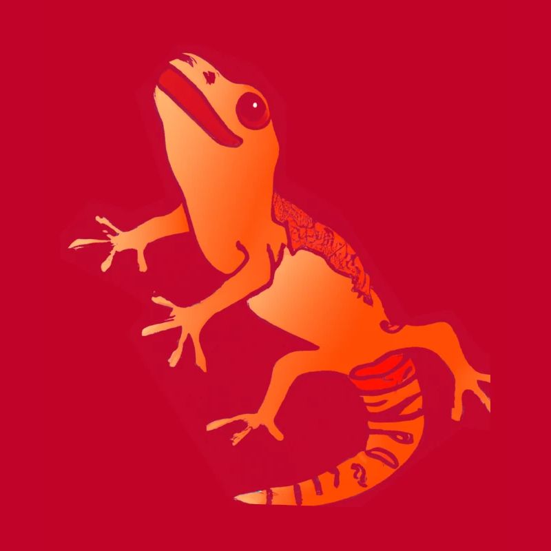 Salamander Gecko Eidechse