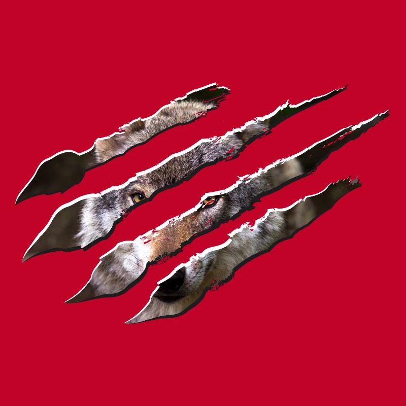 Wolf scratch marks claws wild