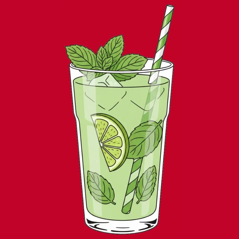 Lime Mint Mojito Illustration