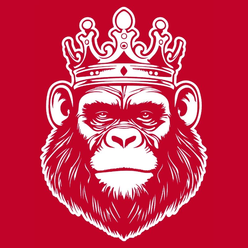 Monkey Monkey Monkey Face Jungle