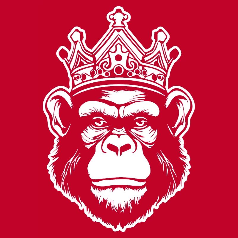 Monkey Monkey Monkey Face Jungle