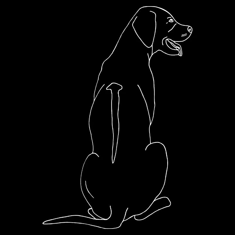 Rhodesian Ridgeback