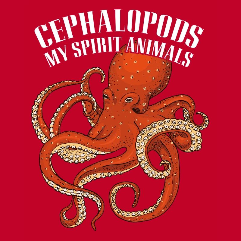 Large octopus octopus squid
