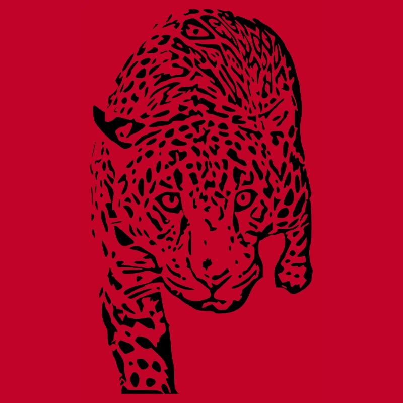 leopard schwarz schwarzer Leopard